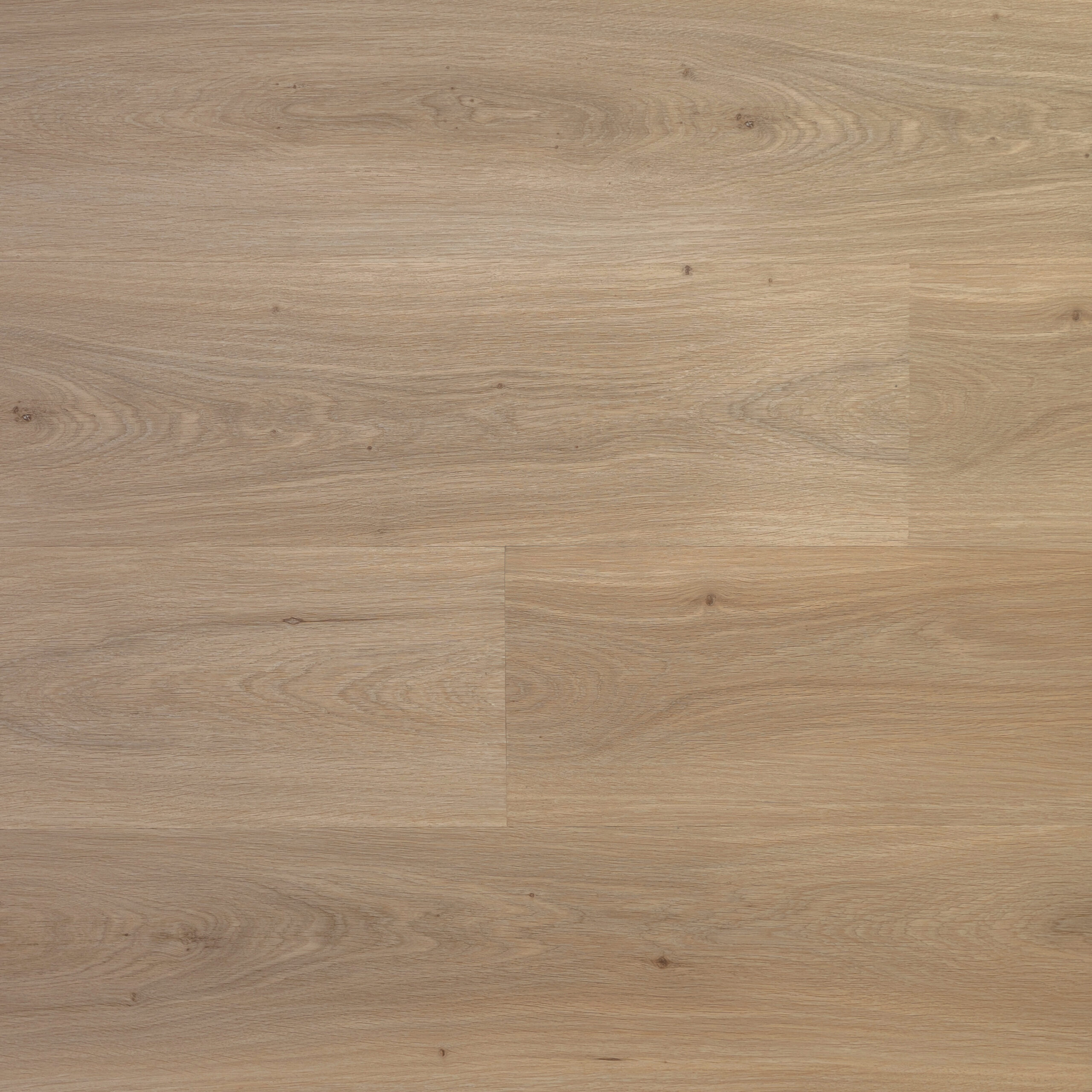 PREMIER - Bare Sand (L751005)