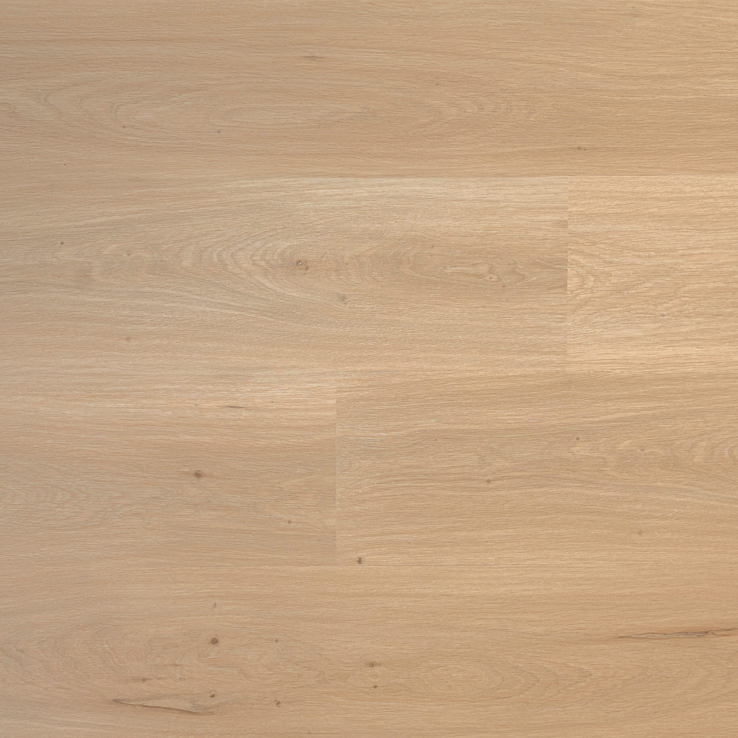 PREMIER - Calm Drift (L751007)