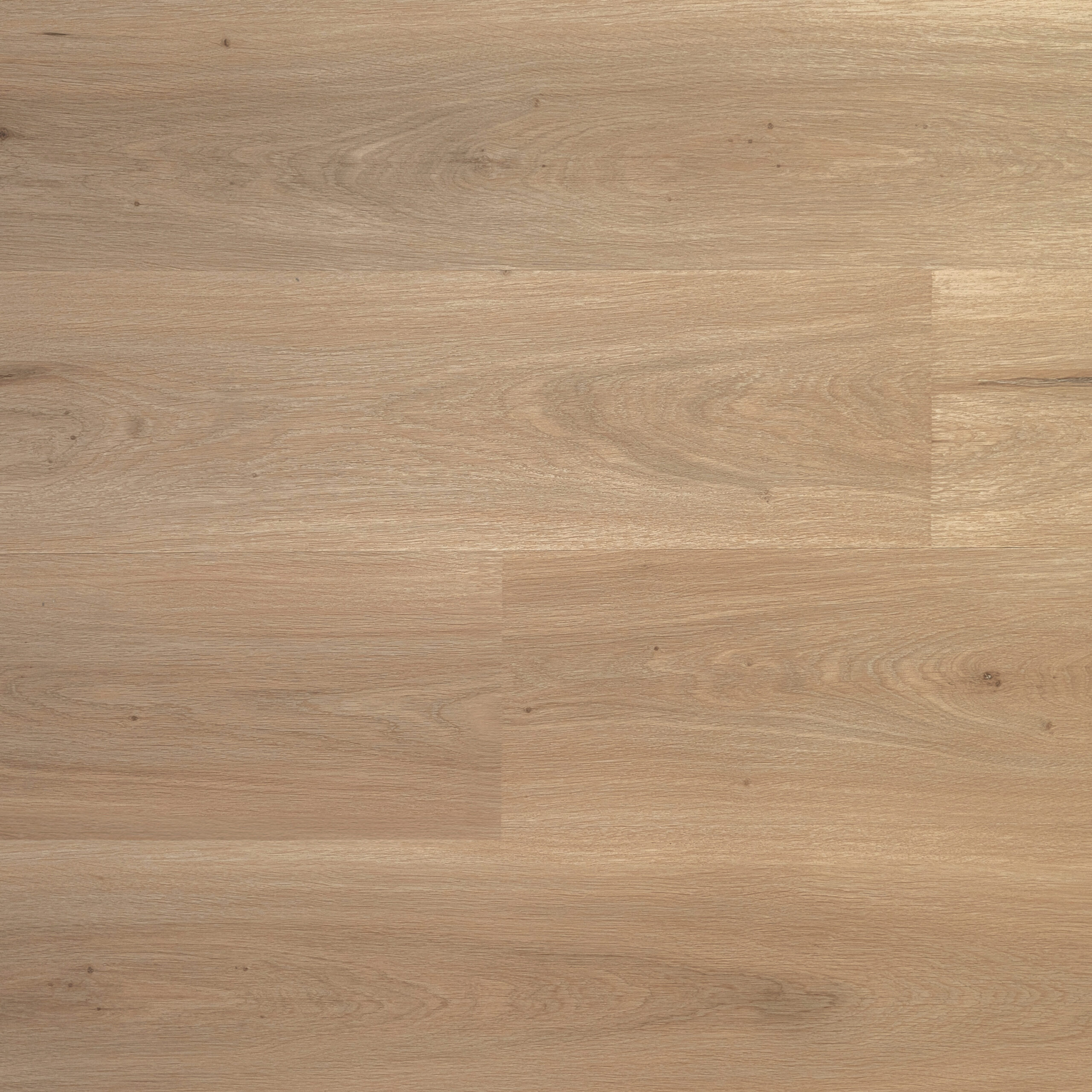 PREMIER - Cozy Clay (L751008)