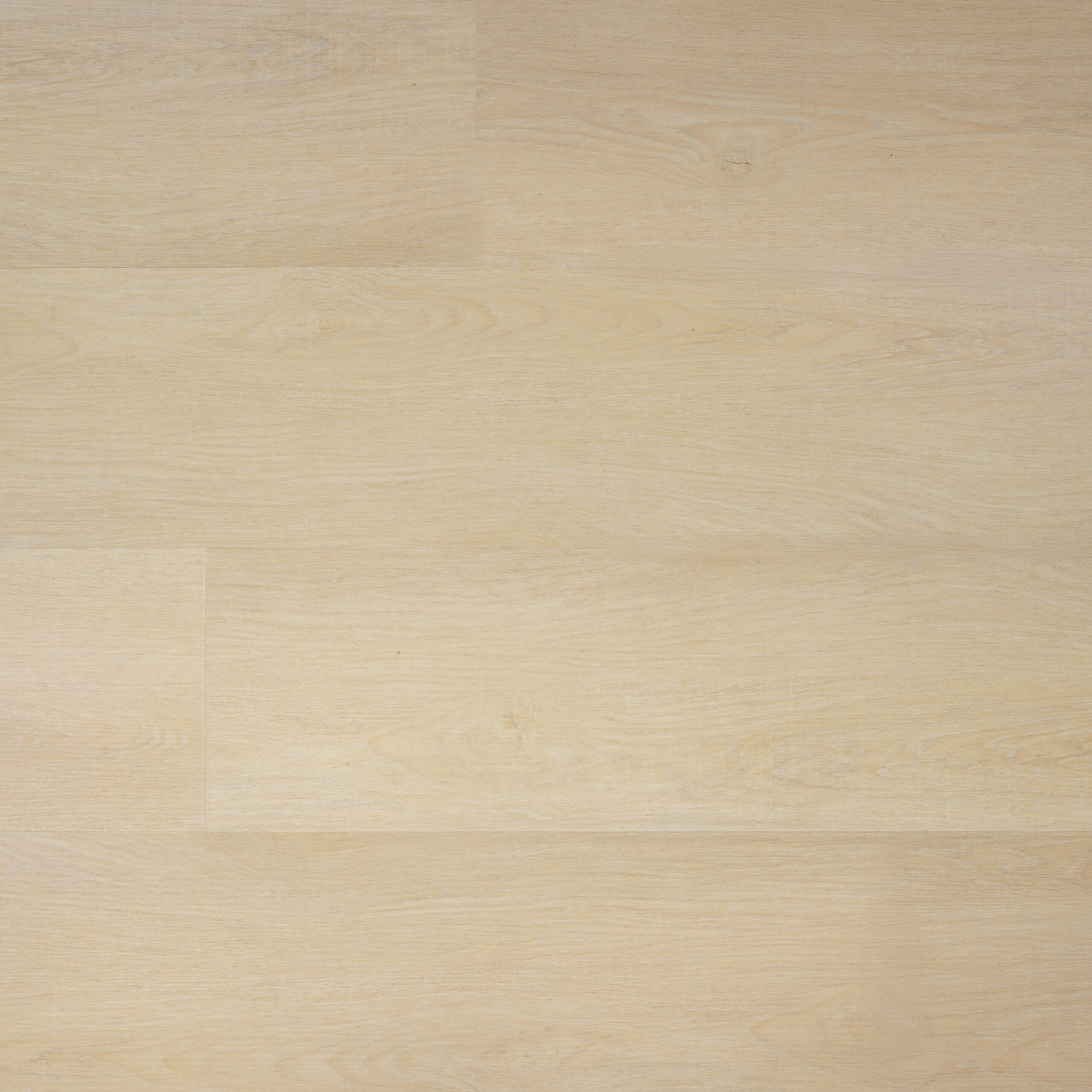 SELECT - Morning Light (L753005)