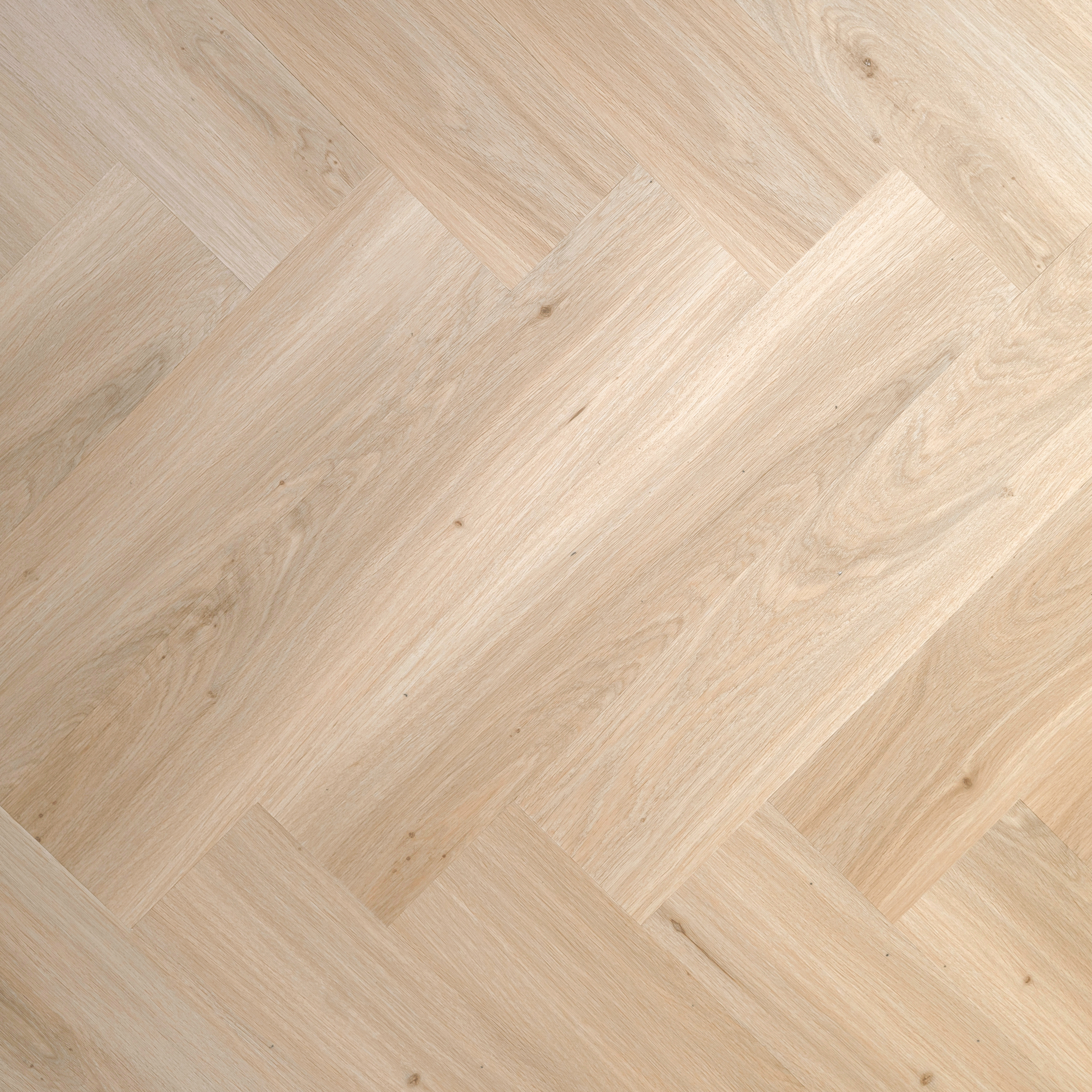 PREMIER - Morning Light (L751001)